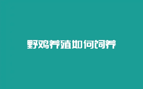 野鸡养殖如何饲养-会东网