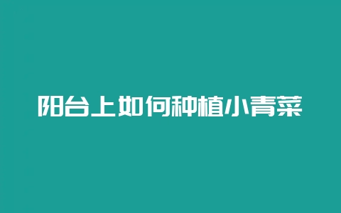 阳台上如何种植小青菜-会东网