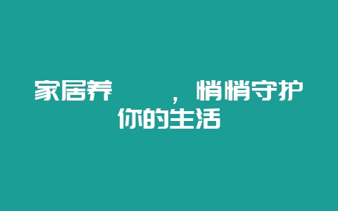 家居养蟑螂,悄悄守护你的生活-会东网