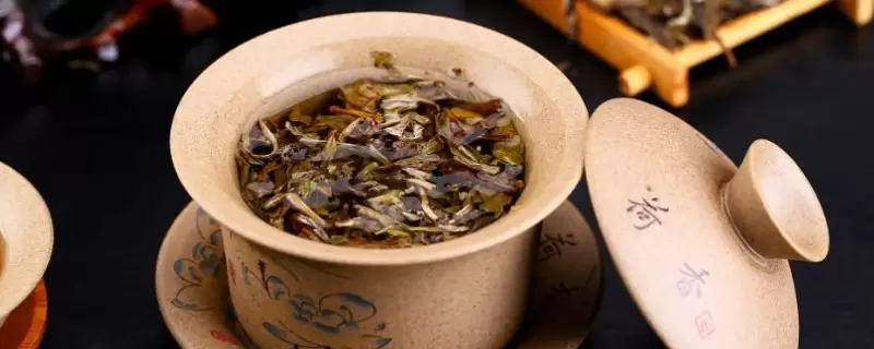 茶叶渣可以倒在花盆里吗-会东网