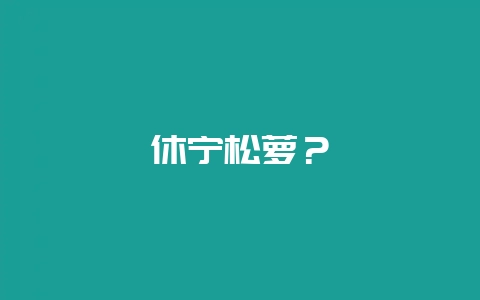 休宁松萝？-会东网