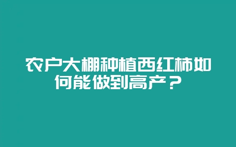 农户大棚种植西红柿如何能做到高产?-会东网