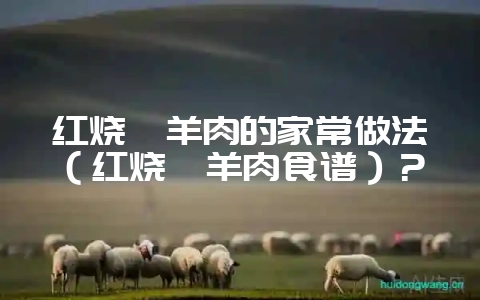 红烧炖羊肉的家常做法(红烧炖羊肉食谱)?-会东网