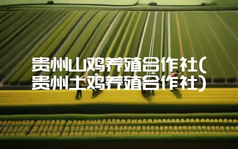 贵州山鸡养殖合作社(贵州土鸡养殖合作社)插图 贵州山鸡养殖合作社(贵州土鸡养殖合作社)插图