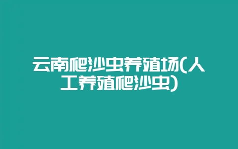 云南爬沙虫养殖场(人工养殖爬沙虫)-会东网