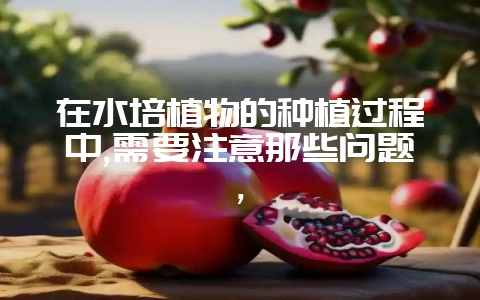在水培植物的种植过程中,需要注意那些问题,-会东网