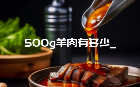 500g羊肉有多少_-会东网