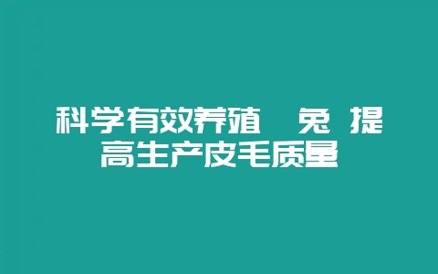 科学有效养殖獭兔 提高生产皮毛质量-会东网