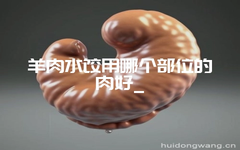 羊肉水饺用哪个部位的肉好_-会东网