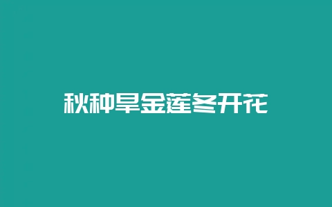 秋种旱金莲冬开花-会东网