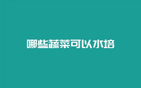 哪些蔬菜可以水培-会东网