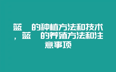 蓝莓的种植方法和技术，蓝莓的养殖方法和注意事项-会东网