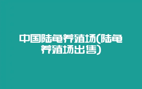 中国陆龟养殖场(陆龟养殖场出售)插图 中国陆龟养殖场(陆龟养殖场出售)插图
