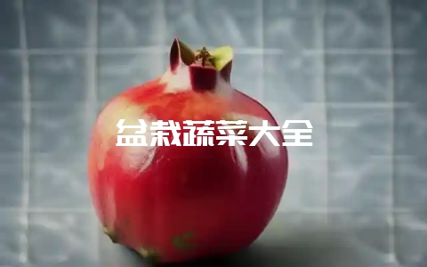 盆栽蔬菜大全-会东网