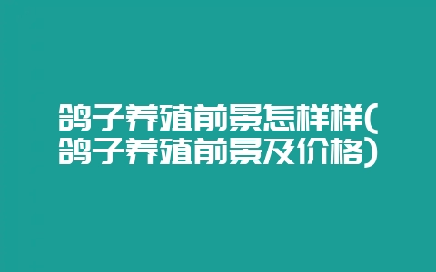 鸽子养殖前景怎样样(鸽子养殖前景及价格)插图 鸽子养殖前景怎样样(鸽子养殖前景及价格)插图