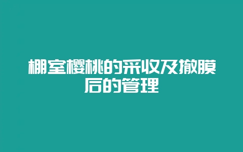 棚室樱桃的采收及撤膜后的管理-会东网