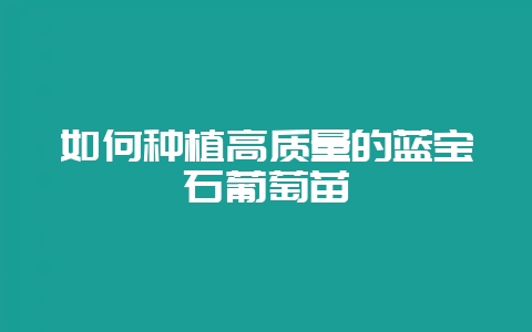 如何种植高质量的蓝宝石葡萄苗-会东网