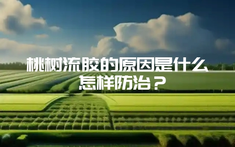 桃树流胶的原因是什么 怎样防治?-会东网