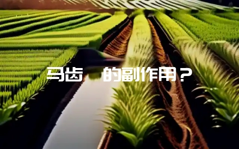马齿苋的副作用？-会东网