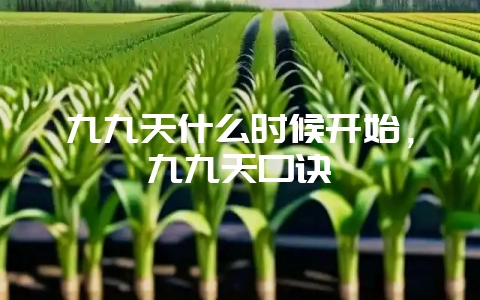 九九天什么时候开始，九九天口诀-会东网