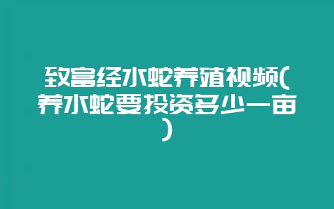 致富经水蛇养殖视频(养水蛇要投资多少一亩)-会东网