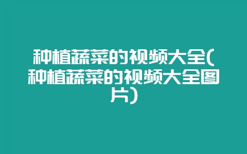 种植蔬菜的视频大全(种植蔬菜的视频大全图片)-会东网