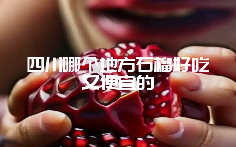 四川哪个地方石榴好吃又便宜的插图 四川哪个地方石榴好吃又便宜的插图