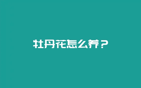 牡丹花怎么养？-会东网