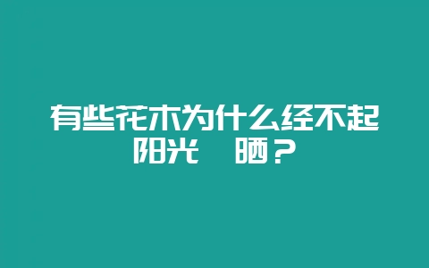 有些花木为什么经不起阳光曝晒?-会东网