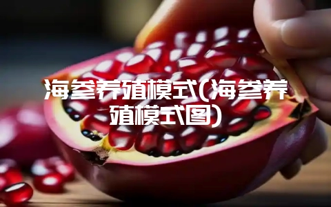 海参养殖模式(海参养殖模式图)-会东网