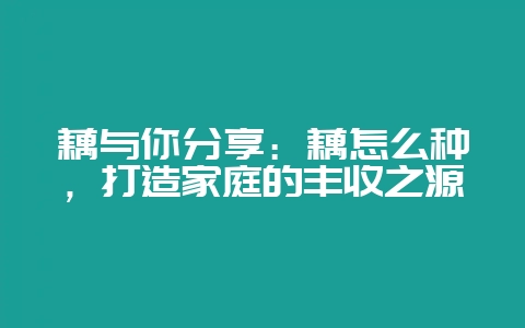 藕与你分享:藕怎么种,打造家庭的丰收之源插图 藕与你分享:藕怎么种,打造家庭的丰收之源插图