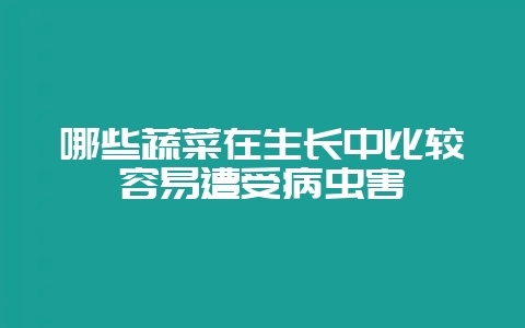 哪些蔬菜在生长中比较容易遭受病虫害-会东网