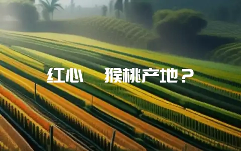 红心猕猴桃产地?-会东网