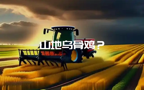 山地乌骨鸡？-会东网