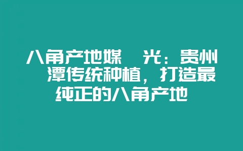 八角产地媒曝光：贵州湄潭传统种植，打造最纯正的八角产地-会东网