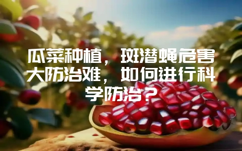 瓜菜种植,斑潜蝇危害大防治难,如何进行科学防治?-会东网