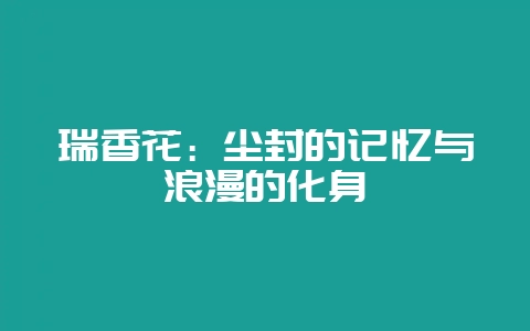 瑞香花：尘封的记忆与浪漫的化身-会东网