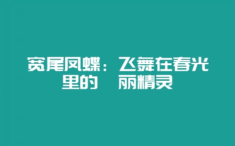 宽尾凤蝶:飞舞在春光里的绚丽精灵-会东网