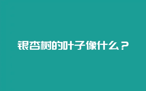 银杏树的叶子像什么？-会东网