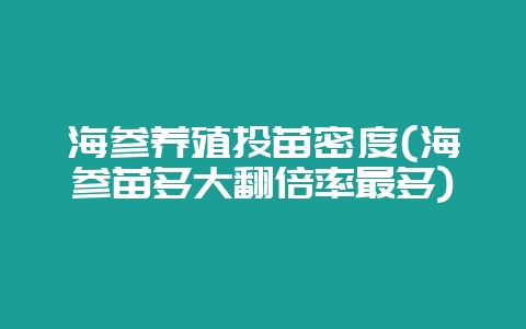 海参养殖投苗密度(海参苗多大翻倍率最多)-会东网