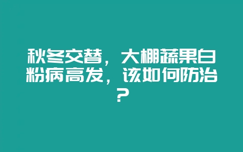 秋冬交替，大棚蔬果白粉病高发，该如何防治？-会东网