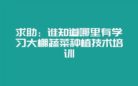 求助:谁知道哪里有学习大棚蔬菜种植技术培训-会东网