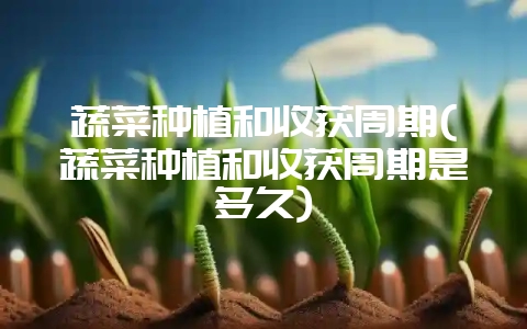 蔬菜种植和收获周期(蔬菜种植和收获周期是多久)-会东网