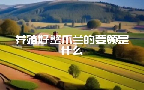 养殖好蟹爪兰的要领是什么-会东网