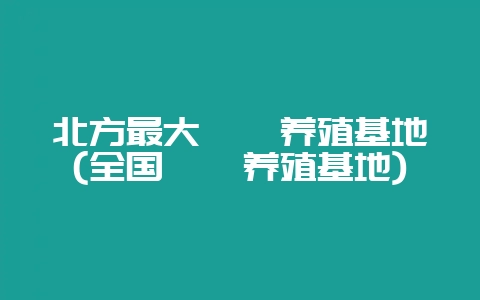 北方最大鹌鹑养殖基地(全国鹌鹑养殖基地)-会东网