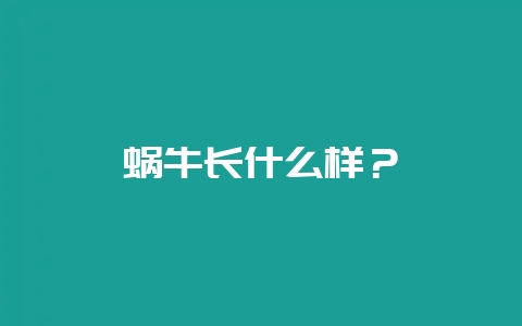 蜗牛长什么样？-会东网