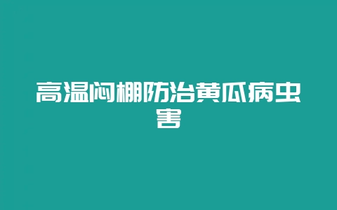 高温闷棚防治黄瓜病虫害-会东网