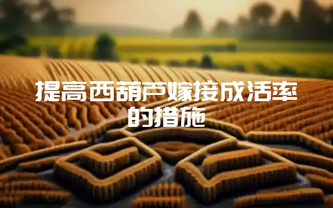 提高西葫芦嫁接成活率的措施-会东网
