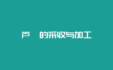 芦荟的采收与加工-会东网