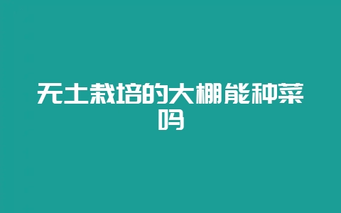 无土栽培的大棚能种菜吗-会东网